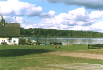 Die Fischerei am Barniner See